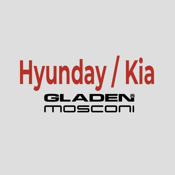 Hyundai / Kia
